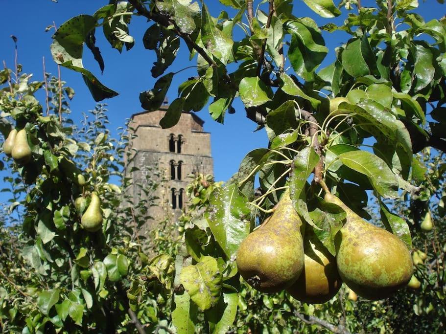 Casa Rural Barangua En El Pirineo Aragones ซานตาครูซ เด ลาเซรอส ภายนอก รูปภาพ